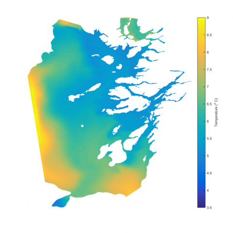 Example modelled sea surface temperature from the Wider Loch Linnhe System model Example modelled sea surface temperature from the Wider Loch Linnhe System model
